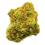 Tropical Aloha Sativa Premium THCA Flower