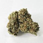 Indoor Colorado Gas Can CBD Flower