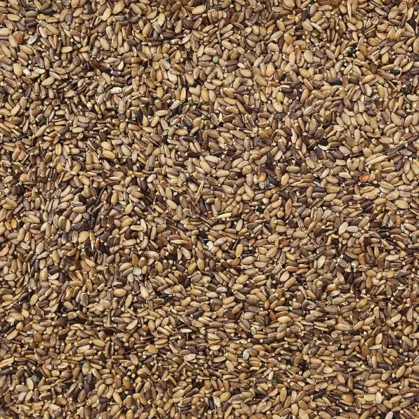 Milk Thistle Seed,Whole