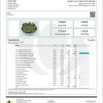 RS-11 THCA - Indica