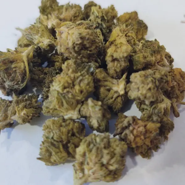 Paradise OG Small Buds 24.0% CBD